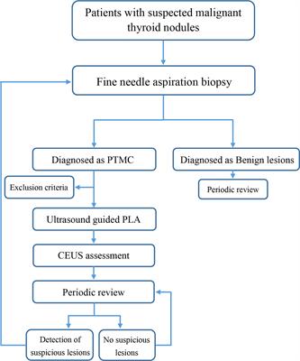 A 5-year follow-up study on the efficacy and safety of ultrasound-guided laser ablation in elderly patients with papillary thyroid microcarcinoma: A retrospective, single-center study from China